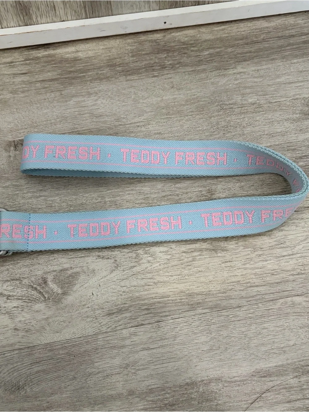 Teddy Fresh D-Ring Webbing Belt Pink Blue Embroidered Logo Streetwear 51